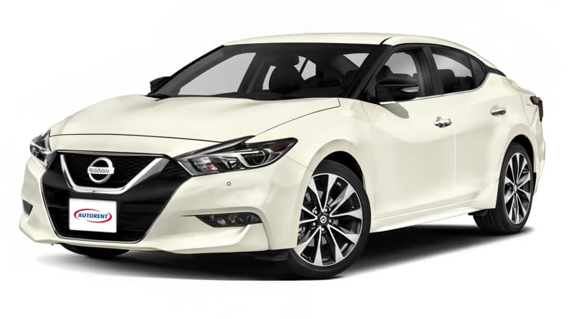 maxima-35-s